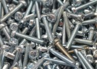 Trigger Screws